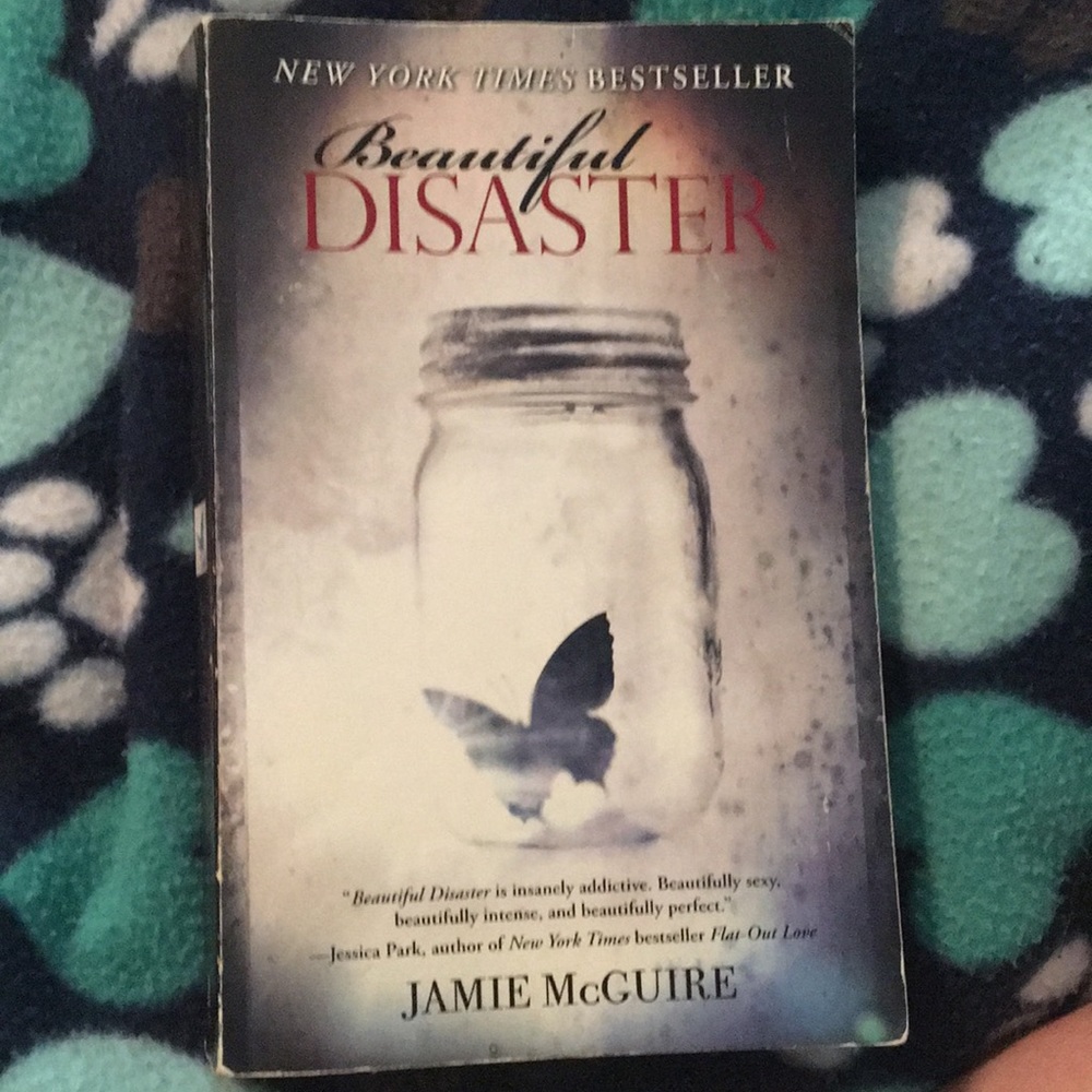 Beautiful Disaster
